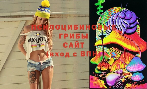 каннабис Аркадак