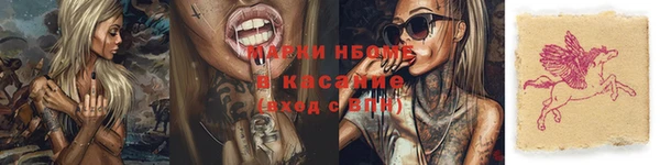 каннабис Аркадак