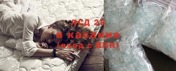 крисы Арсеньев