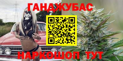 Альфа ПВП Новозыбков