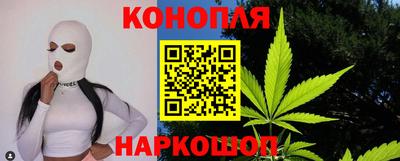 Альфа ПВП Новозыбков