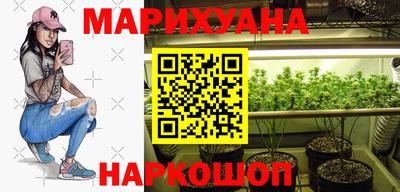 Альфа ПВП Новозыбков