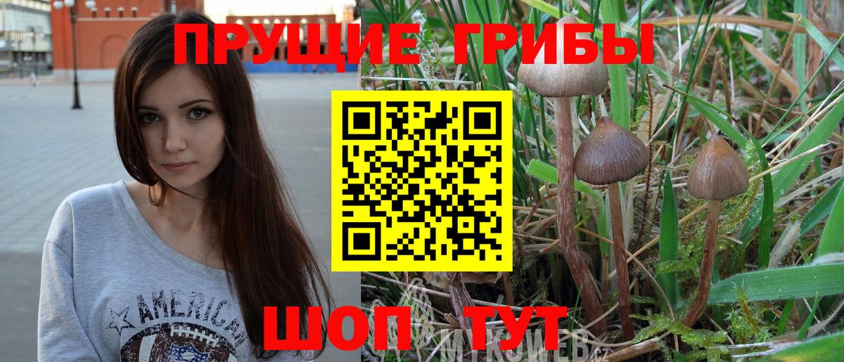 Галлюциногенные грибы Cubensis  Вход с VPN  Псилоцибиновые грибы Psilocybe  Сатка 
