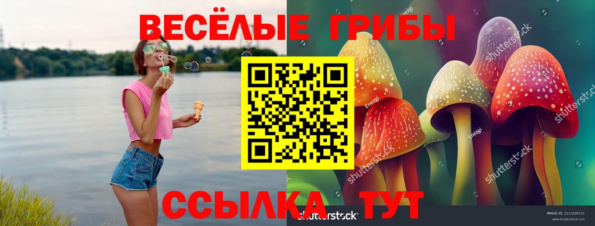 Галлюциногенные грибы Psilocybe Сатка